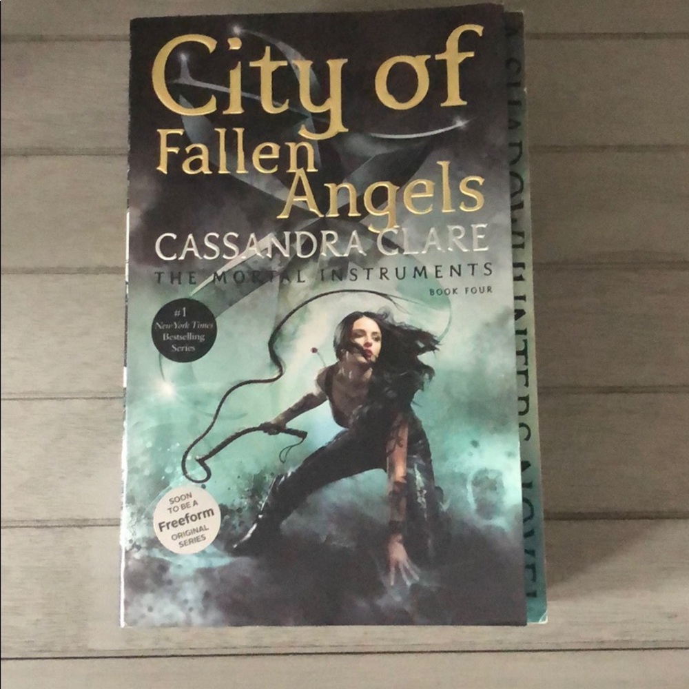 The Mortal Instruments Book 4 and 5